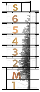 Height comparison with a tree