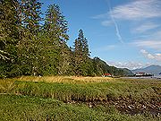Cassiar Cannery: