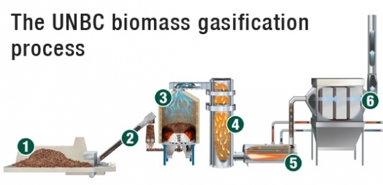 Diagram of the Biomass Gasification Process