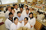 Cancer Research Team