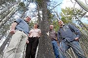 UNBC Pine Beetle Researchers