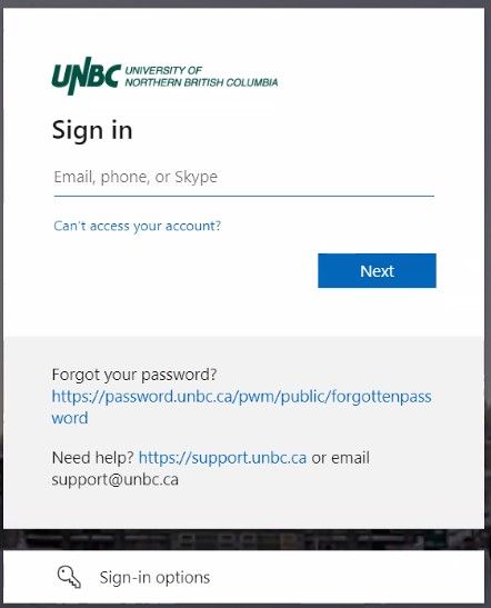 This is an example of what the single sign-on looks like