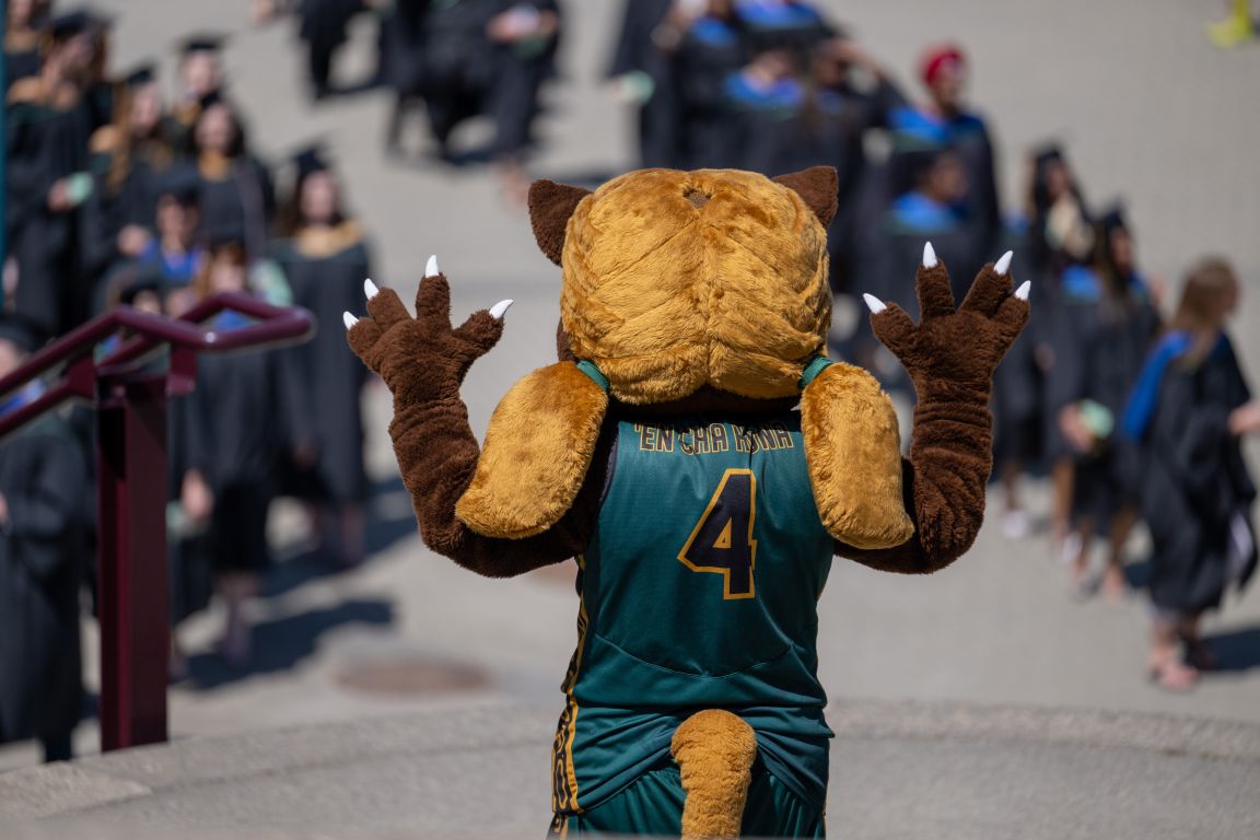 Mascot during procession