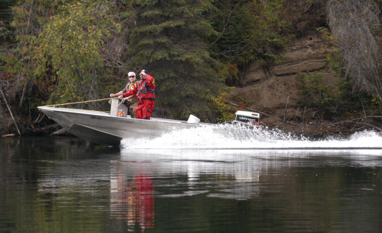 Quesnel River 2019