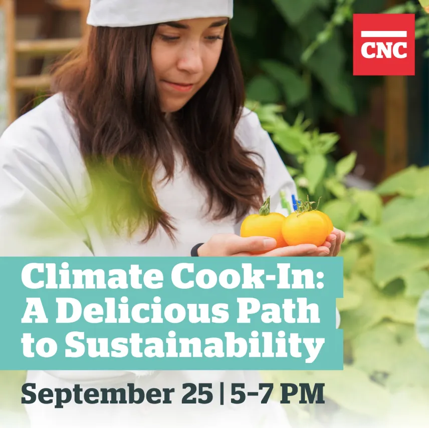 Climate Cook In