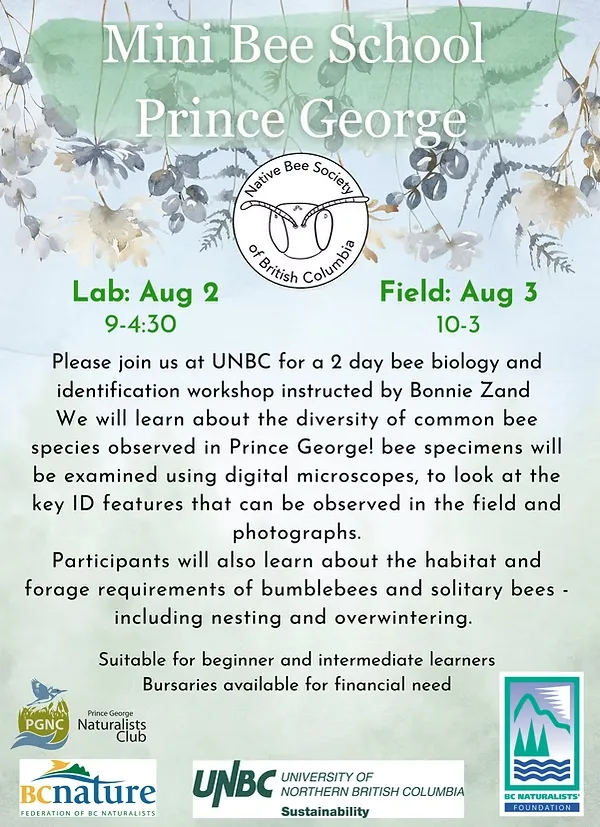 Mini Bee School Poster