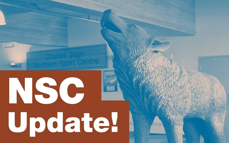 NSC Lobby Wolf Sculpture