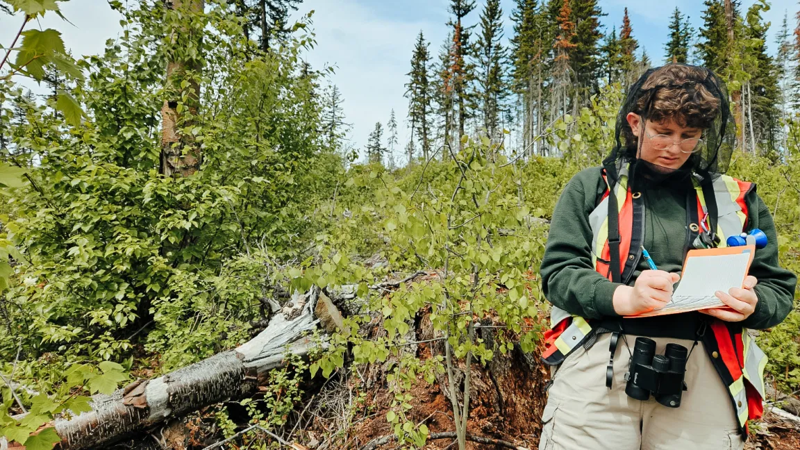 A Master of NRES student wearing field gear and a bug net writes in a notebook while standing in a forested area with young green vegetation and fallen logs.
