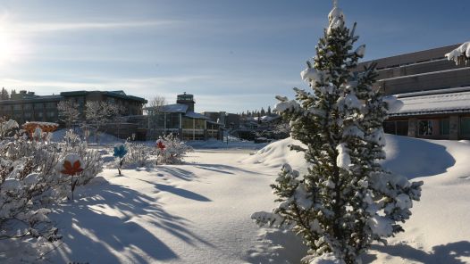 Fresh snow on the Prince George campus