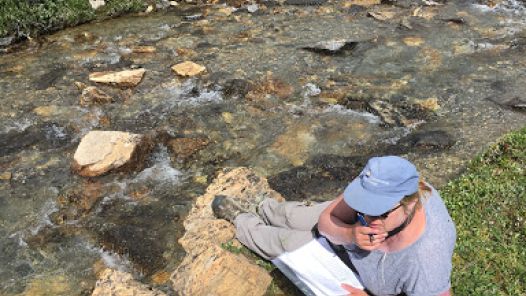 Dr. Pamela Wright works in the field