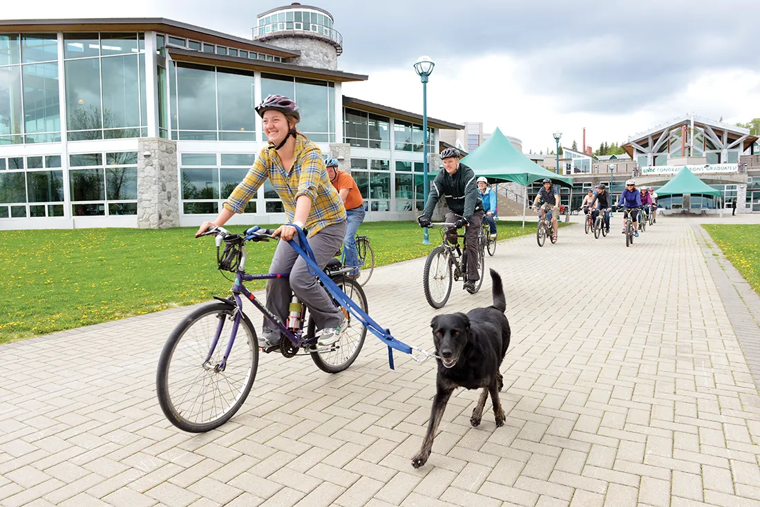 People riding bicycles at UNBC Prince George campus