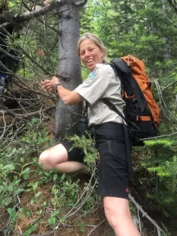Student tagging endangered White Bark Pine