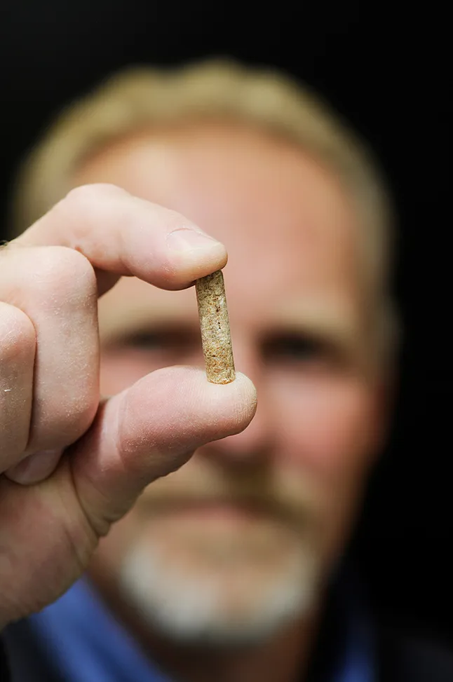 Man holding up a wood pellet for a closer look
