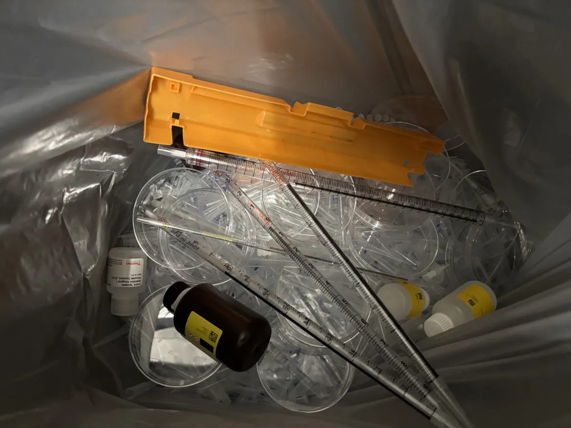 Inside of PP #5 bin 