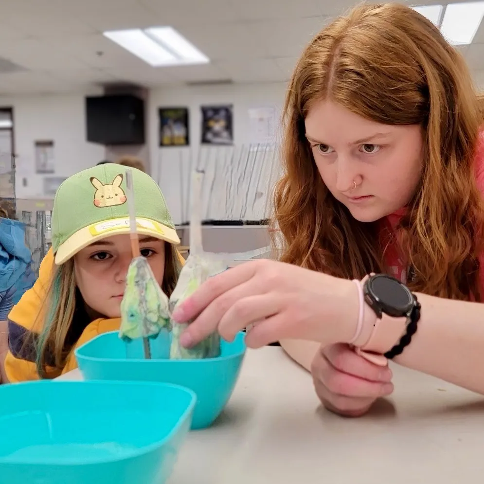 STEM Club - Renee Chem concepts