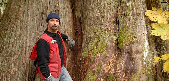 Dave Radies in the Ancient Forest