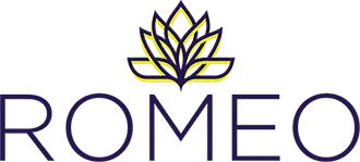 ROMEO Research Portal logo