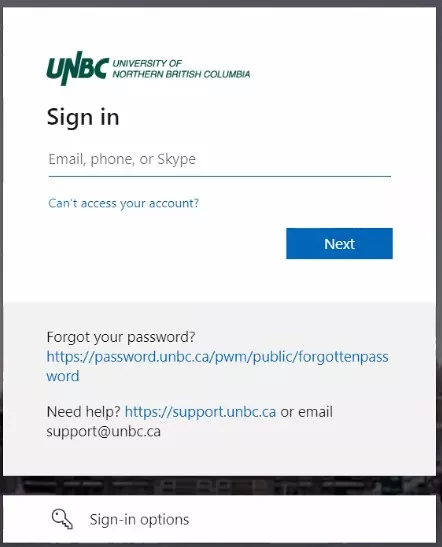This is an example of what the single sign-on looks like
