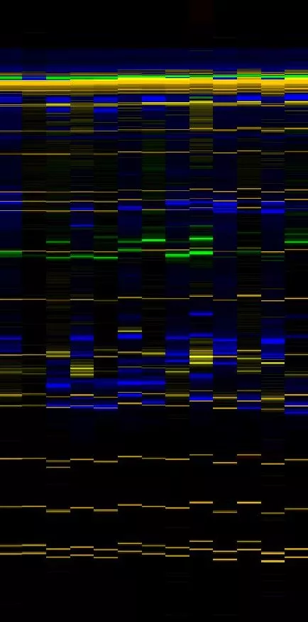 Fragment Analysis Array