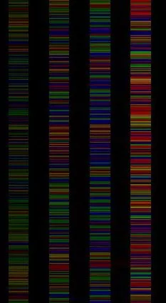DNA Sequence Array View