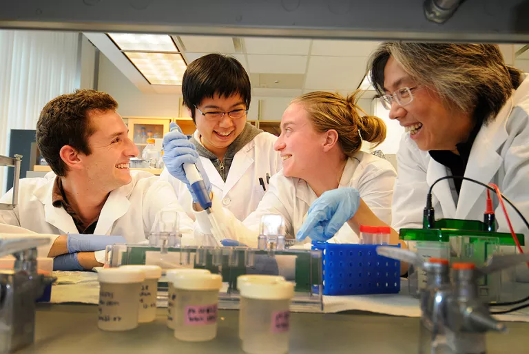 An image of students conducting research