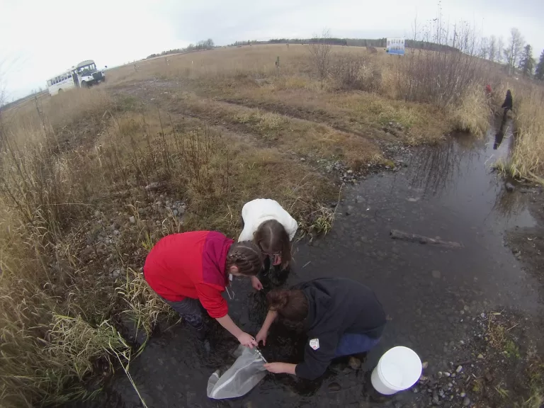 NVSS students collecting aquatic insects