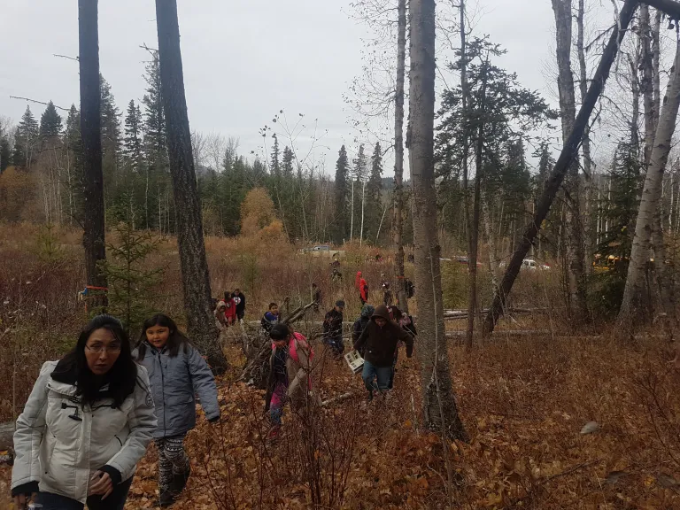 Children walking in the forest