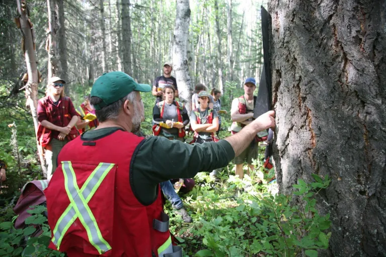 A man teaching in a forest