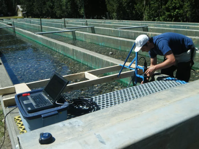 Flume Work