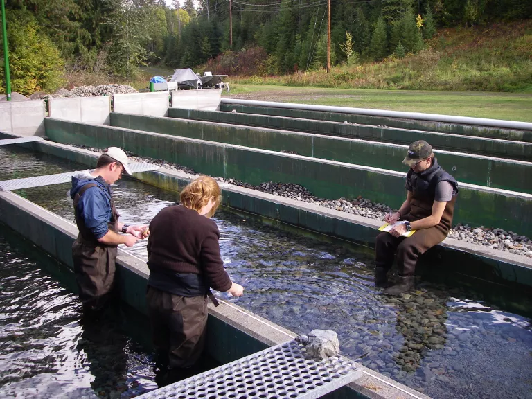 Researchers in flumes