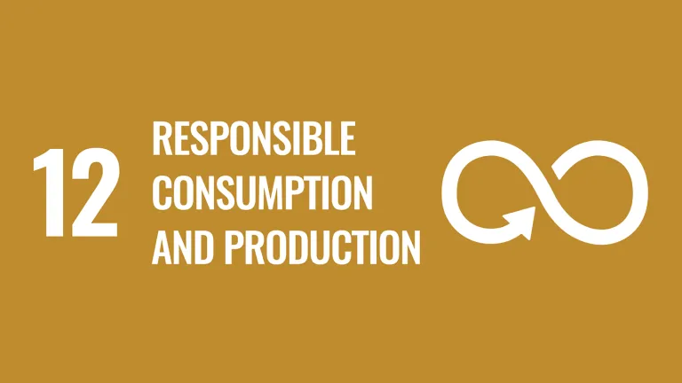 Sustainable Development Goal 12: Responsible Consumption and Production