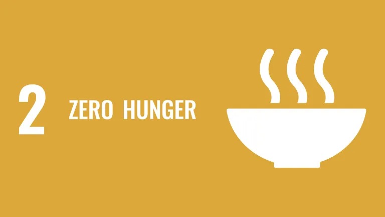 Sustainable Development Goal 2: Zero Hunger