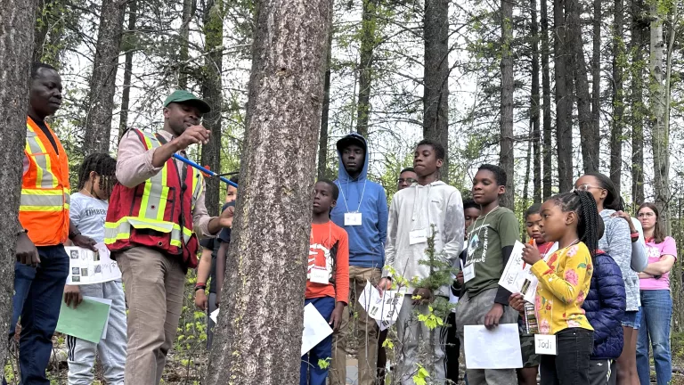 Dr Bartels demonstrating tree coring for BYIS program