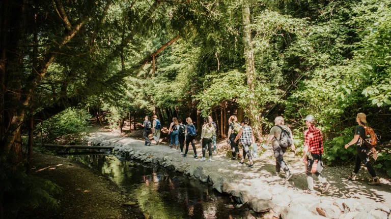 Students walking outside