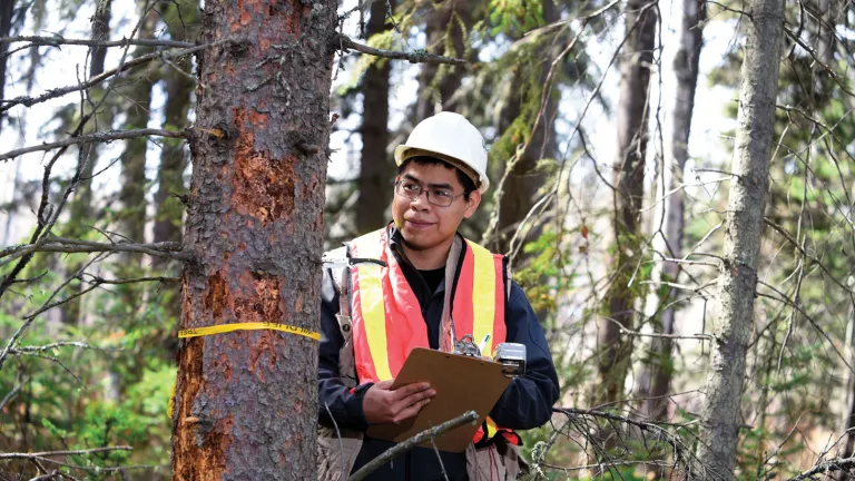 Indigenous student doing fieldwork in the forest