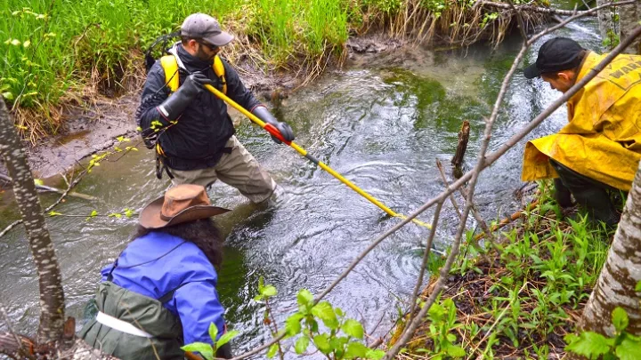 electrofishing online refresher course