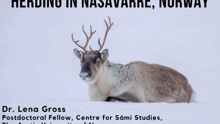 Dr. Lena Gross, Postdoctoral Fellow, Centre for Sami Studies