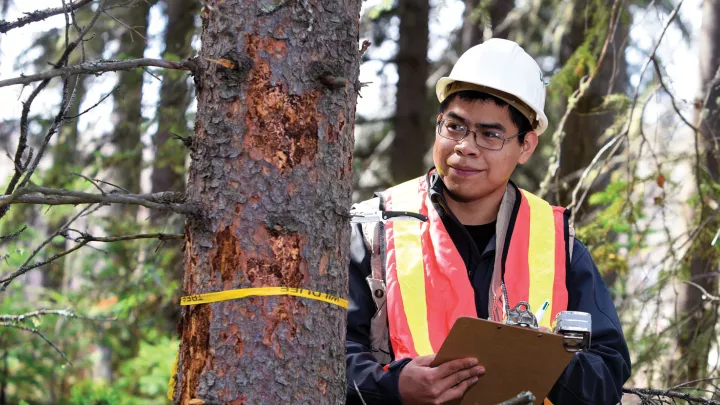 UNBC student doing fieldwork in the forest