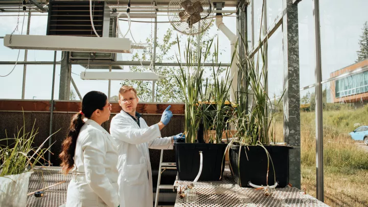 Environmental engineering at UNBC