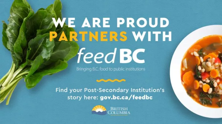 fEED bc 