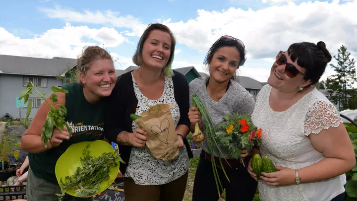 Green Grant Program