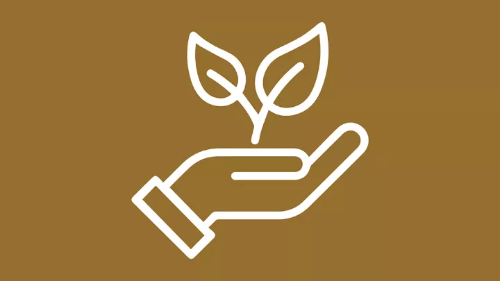 Thrive: Holistic wellbeing and support services