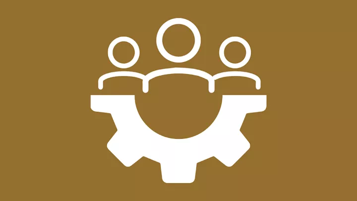 Work: Career development and experiential learning