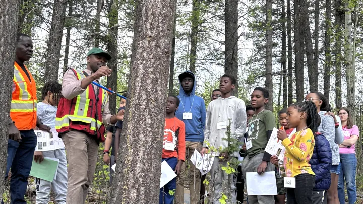 Group of students on a field study in the forest
