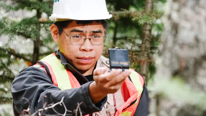 Student surveying in the forest