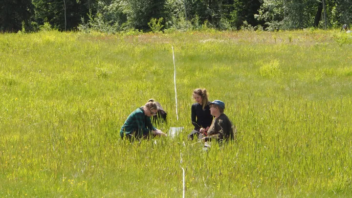 Landscape conservation