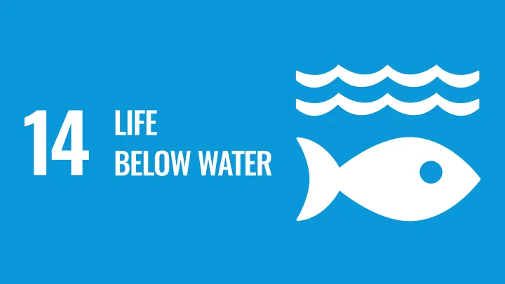 Sustainable Development Goal 14: Life Below Water