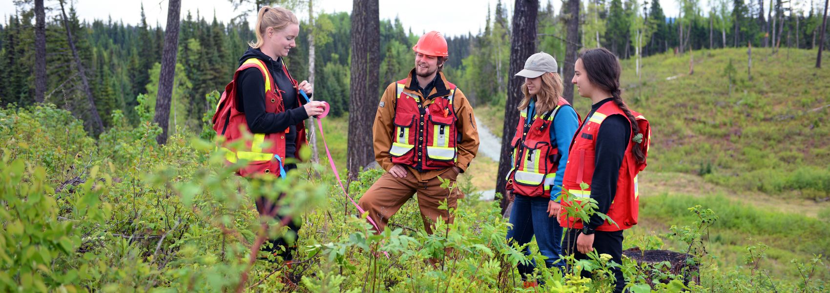 Forest Ecology and Management students at Aleza Lake Research Forest